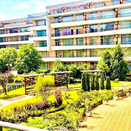 Grand Kamelia 2*